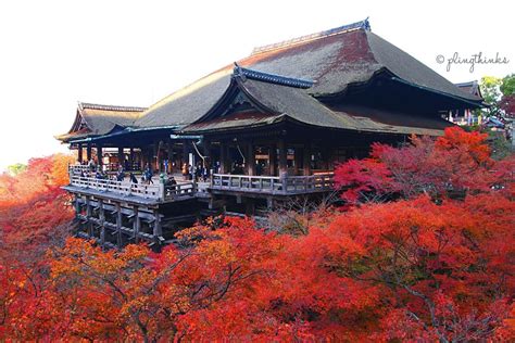  O Templo Kiyomizu-dera: Um Oásis de Beleza e História em Kyoto!