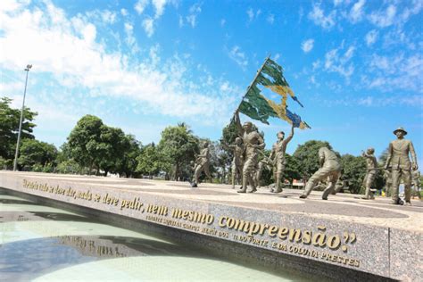 Praça dos Girassóis: Um Tesouro Floral Escondido no Coração de Joinville!